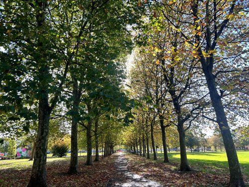 North Finchley local scene